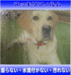 見本